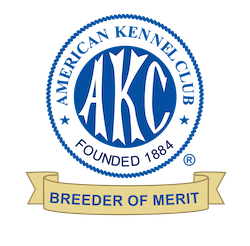 American Kennel Club Breeder of Merit