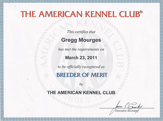 AKC Breeder of Merit